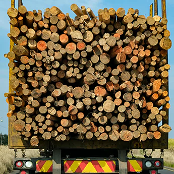 Gestion de l'approvisionnement en bois : clés, enjeux et solutions